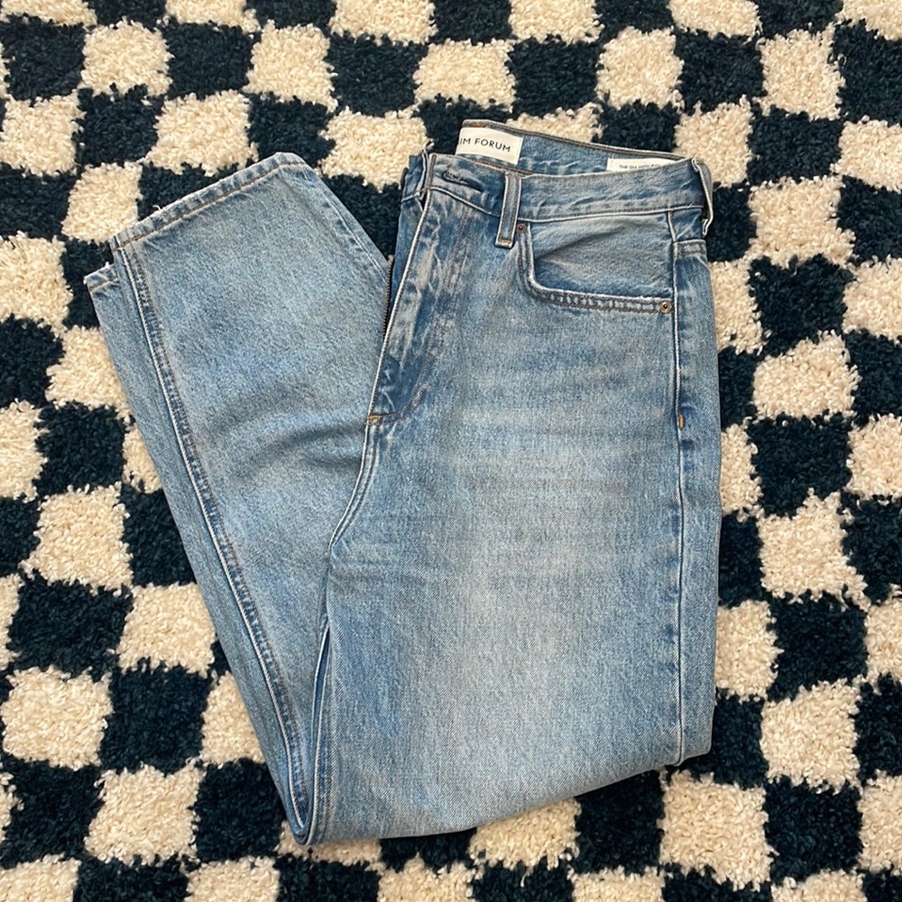 Aritzia Denim Forum Gia High Rise Carrot, 28x26